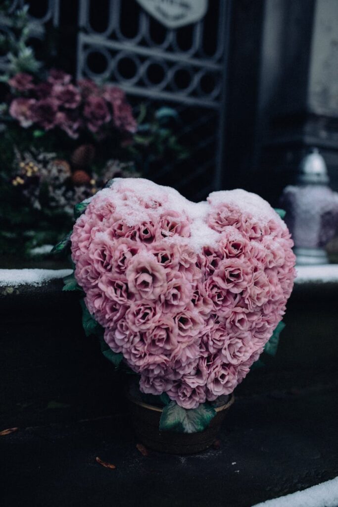 pink roses arranged in heart shape